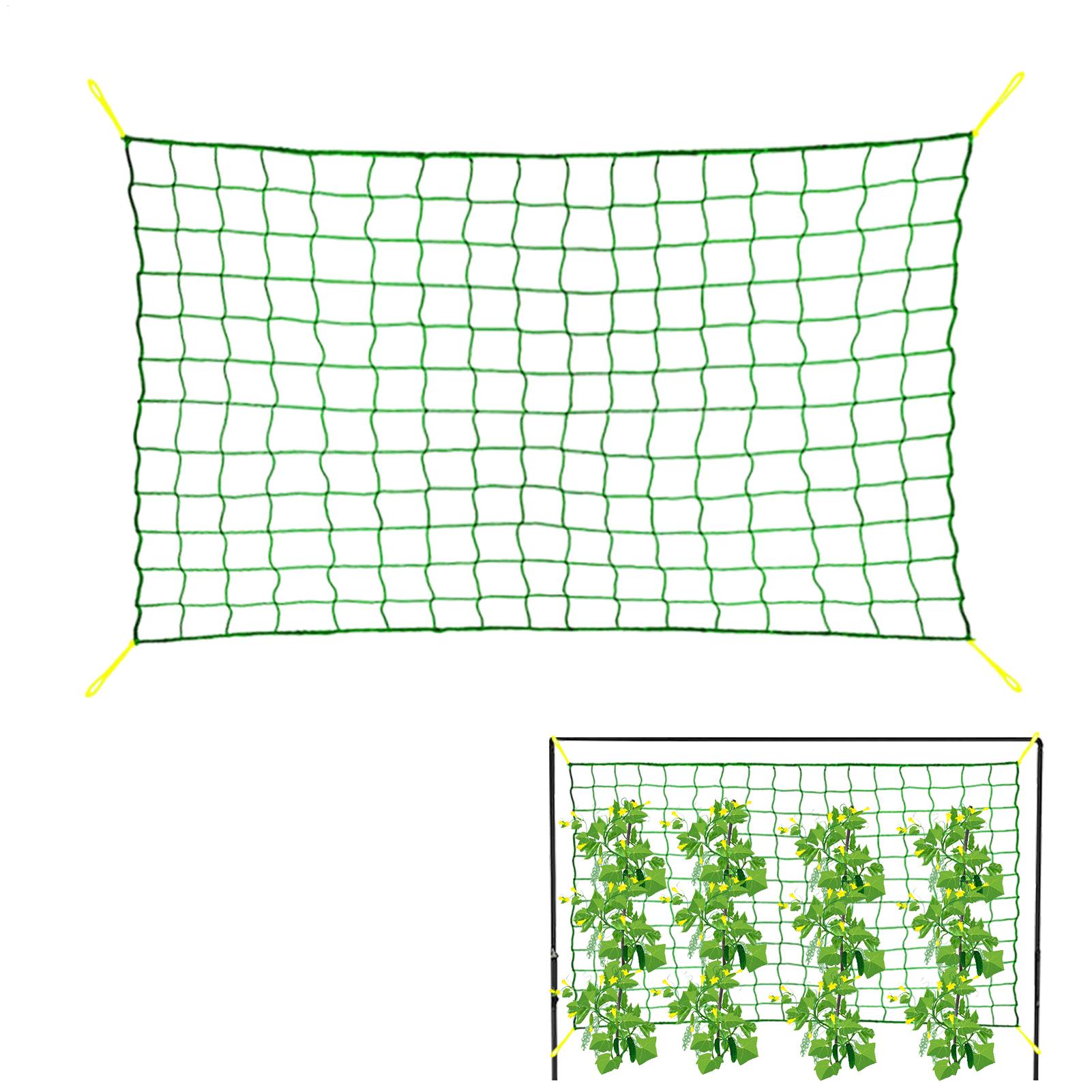 Plant Support Trellis Netting Climbing - Plant Climbing Net Tree Netting Plant