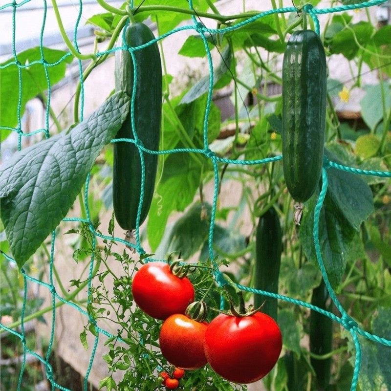 Durable Plant Support-2.7X1.8M - огляд і ціна Plant Support Trellis Netting Climbing