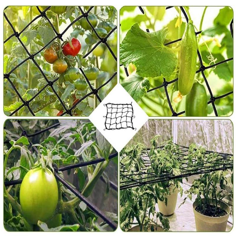 40/60/90/120cm Garden Trellis  - огляд і ціна Plant Support Trellis Netting Climbing