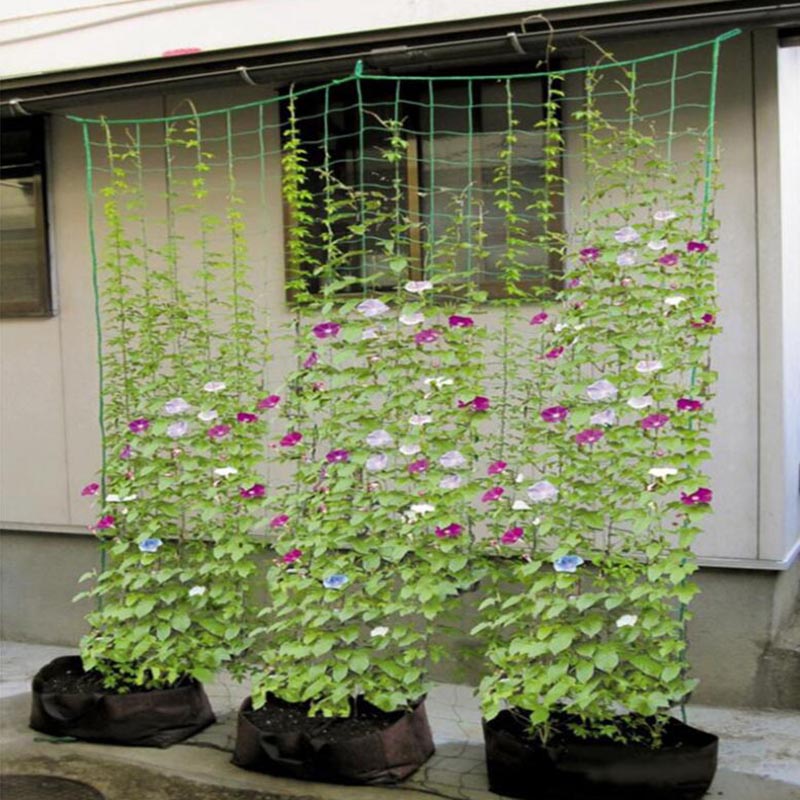 4 Sizes Garden Plant Climbing  - огляд і ціна Plant Support Trellis Netting Climbing