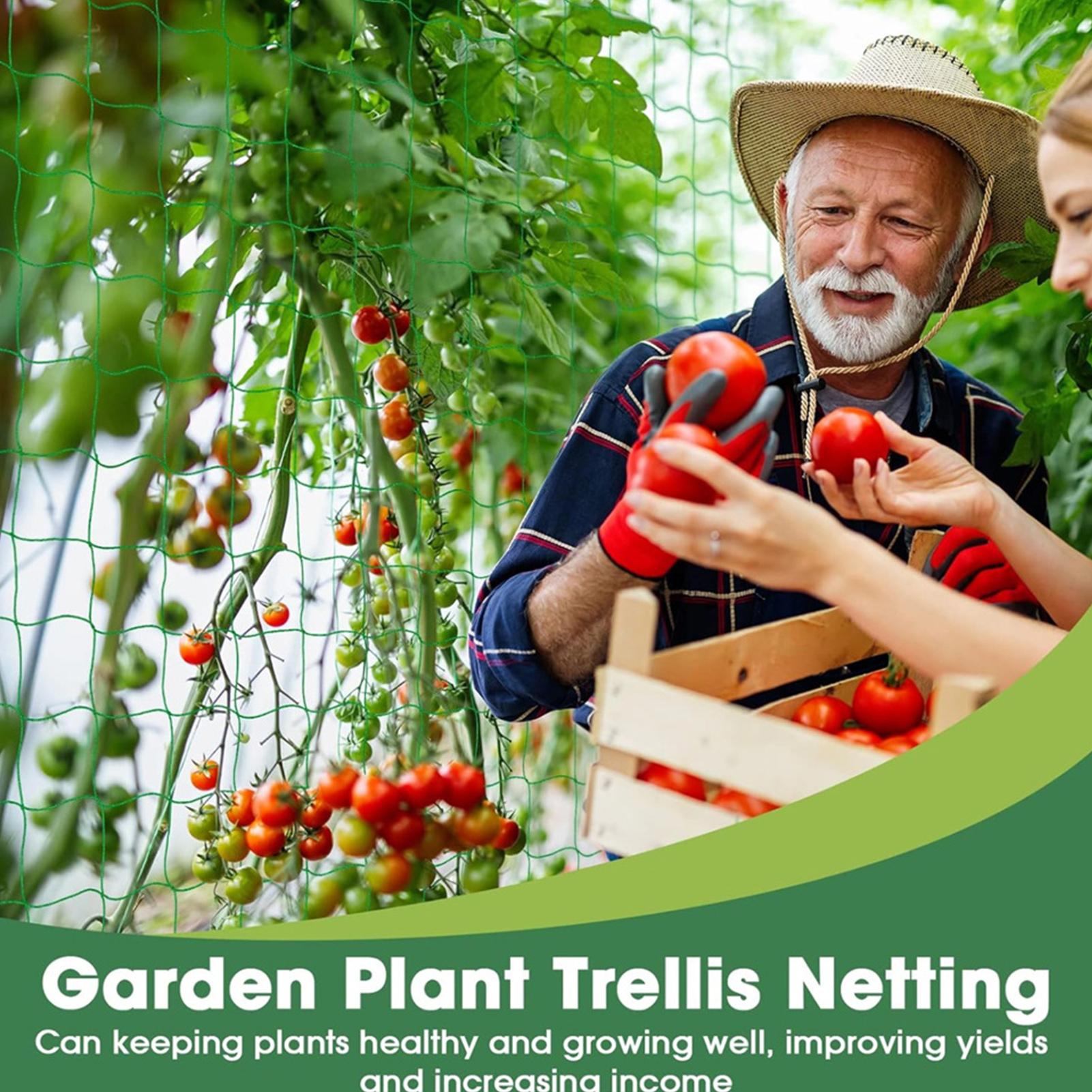 Plant Climbing Net Tree Nettin - огляд і ціна Plant Support Trellis Netting Climbing