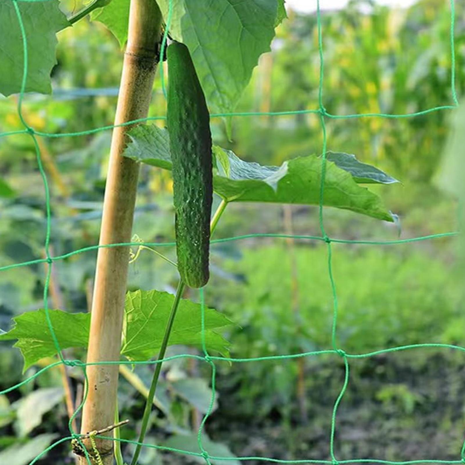 Plant Climbing Net Tree Nettin - огляд і ціна Plant Support Trellis Netting Climbing