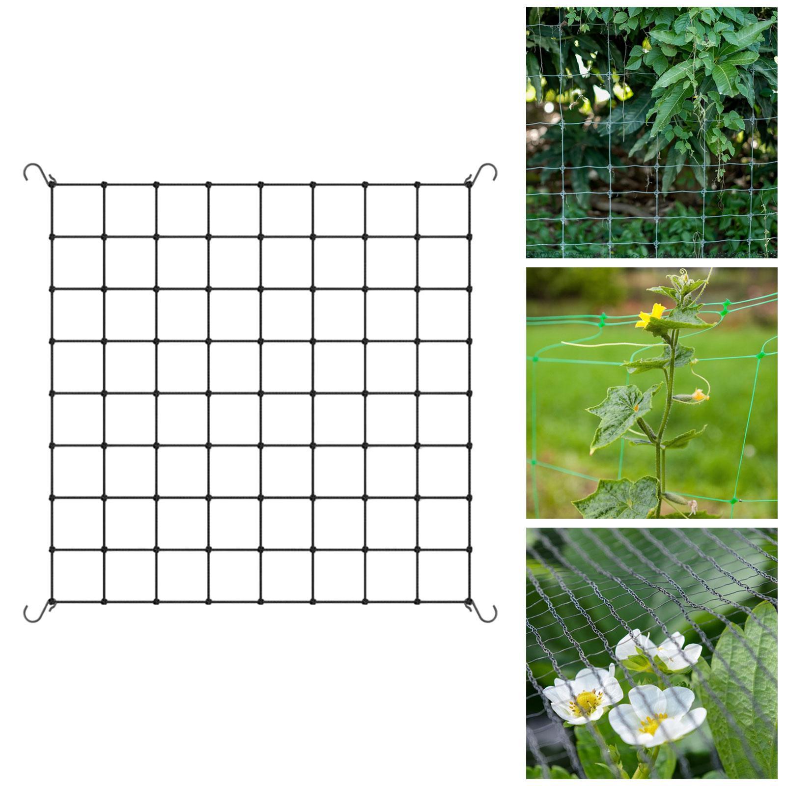 Plant Net Support Trellis Nett - огляд і ціна Plant Support Trellis Netting Climbing