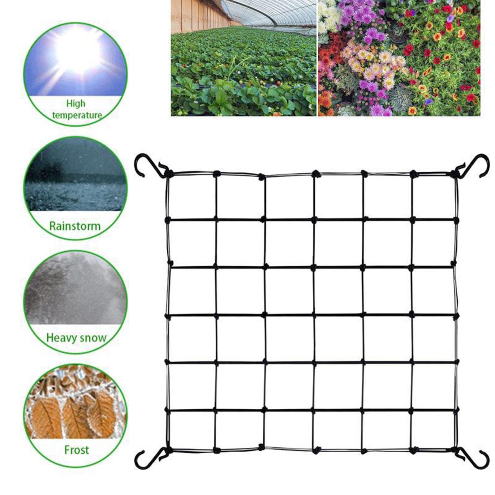 Plant Net Support Trellis Nett - огляд і ціна Plant Support Trellis Netting Climbing