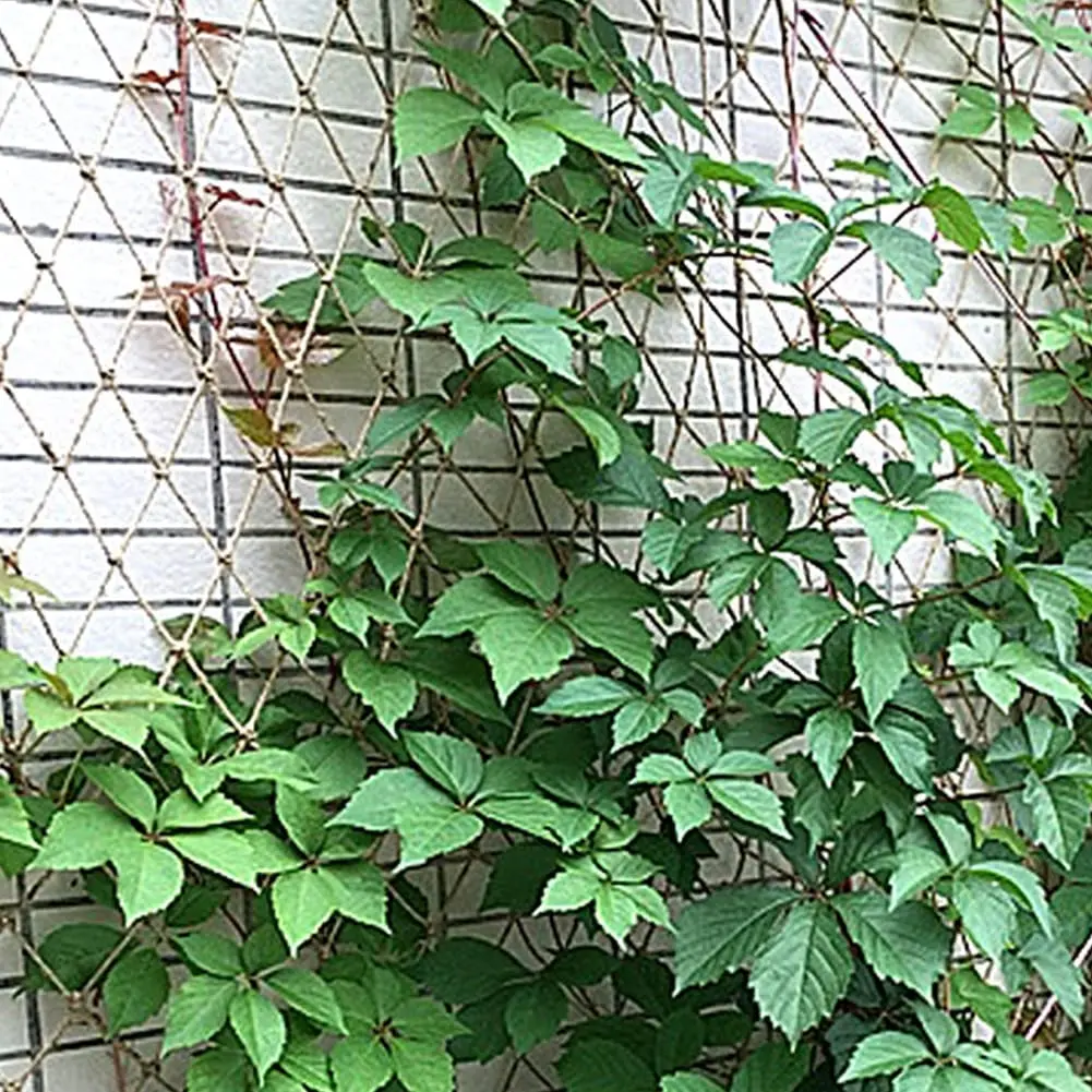 Plant Support Netting Natural  - огляд і ціна Plant Support Trellis Netting Climbing