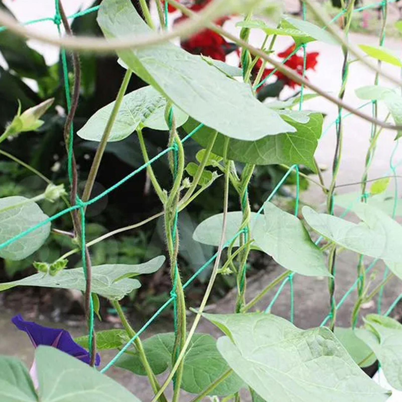 Plant Trellis Netting Net 9-st - огляд і ціна Plant Support Trellis Netting Climbing