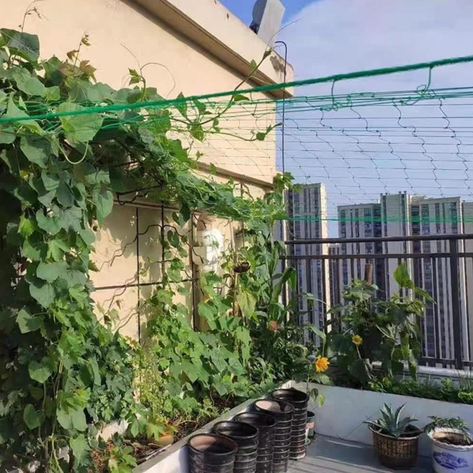 Plant Trellis Netting Net 9-st - огляд і ціна Plant Support Trellis Netting Climbing