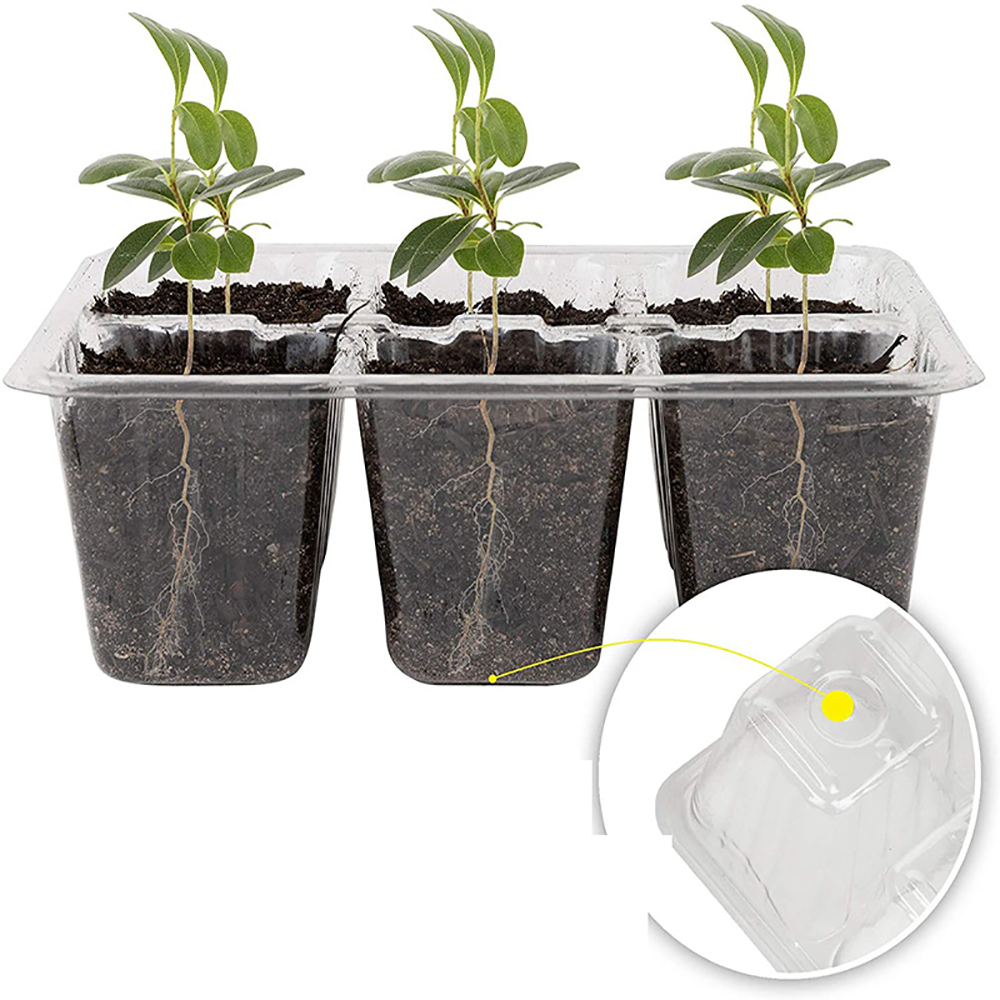 Seed Starter Trays with Grow L - огляд і ціна Seed Starter Tray Kit With Grow Light
