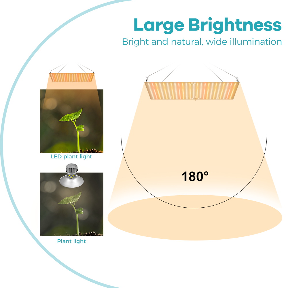 350W LED Plant Gorw Light Full - огляд і ціна Seed Starter Tray Kit With Grow Light