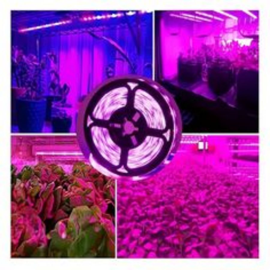 1M/2M/3M/5M/10M LED Full Spect - огляд і ціна Seed Starter Tray Kit With Grow Light