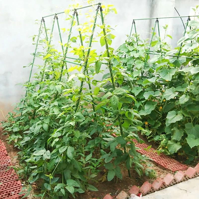 Cucumber Trellis Set A-Frame F - огляд і ціна Plant Support Trellis Netting Climbing