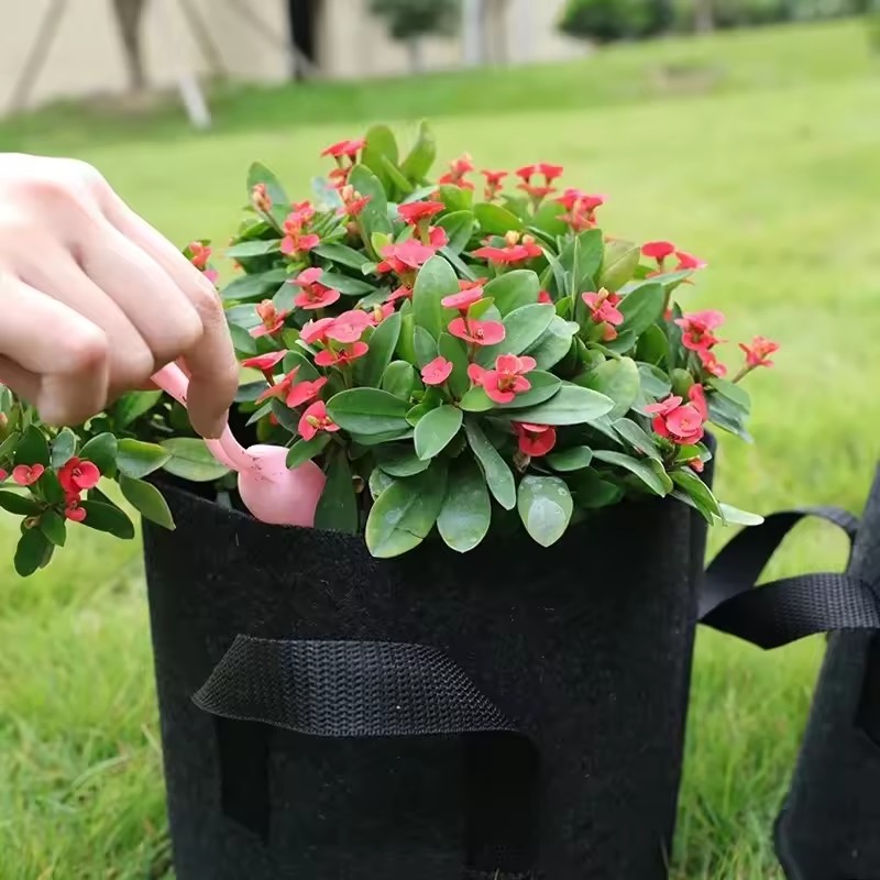 Felt Grow Bags Vegetable Flowe - огляд і ціна Plant Nursery Grow Bags Fabric 5 Gallon
