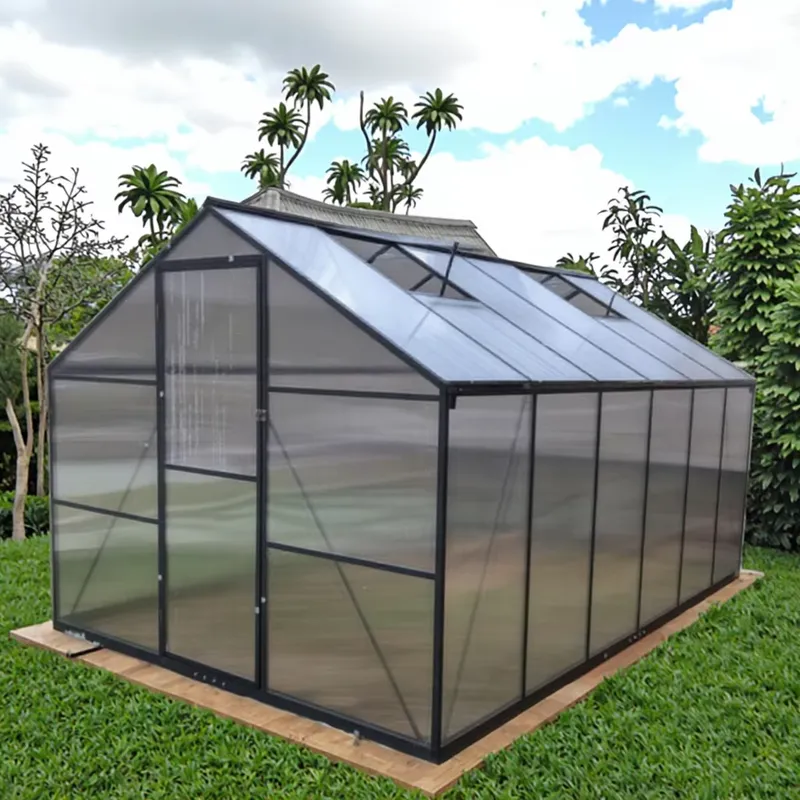 Premium Large Outdoor Modern A - огляд і ціна Polycarbonate Greenhouse Aluminum Frame