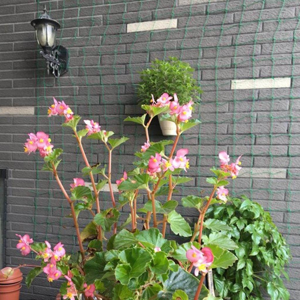 Nylon Trellis Netting Climbing - огляд і ціна Plant Support Trellis Netting Climbing